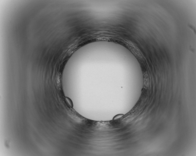 X0000091530573200708170952