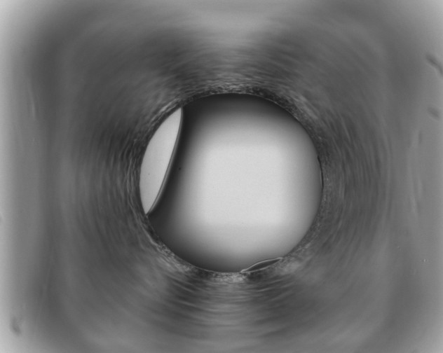 X0000091530576200708170952