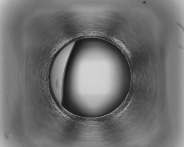 X0000091530577200708170951