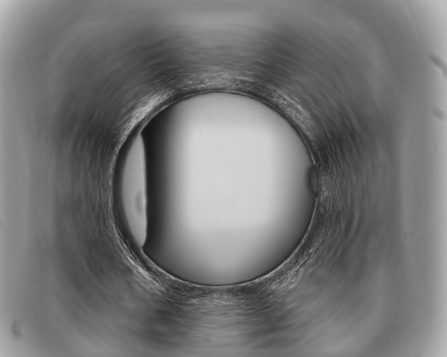 X0000091530578200708170951