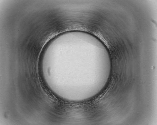 X0000091530579200708170951