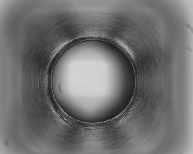 X0000091530580200708170951