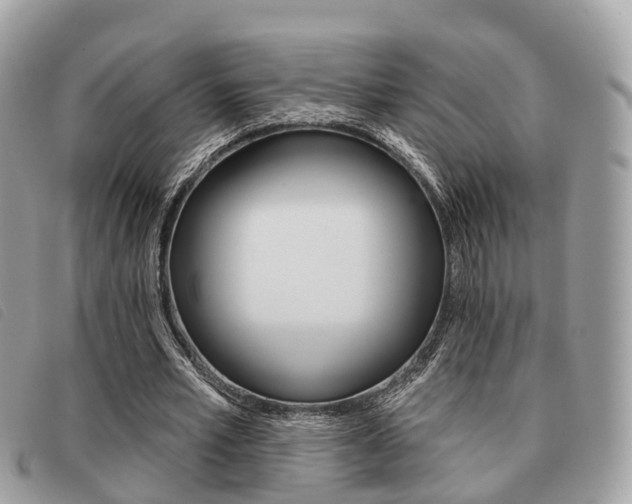 X0000091530581200708170951