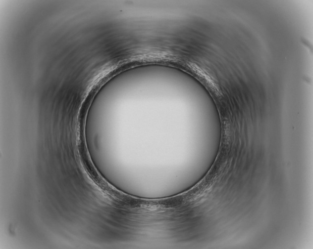 X0000091530582200708170951