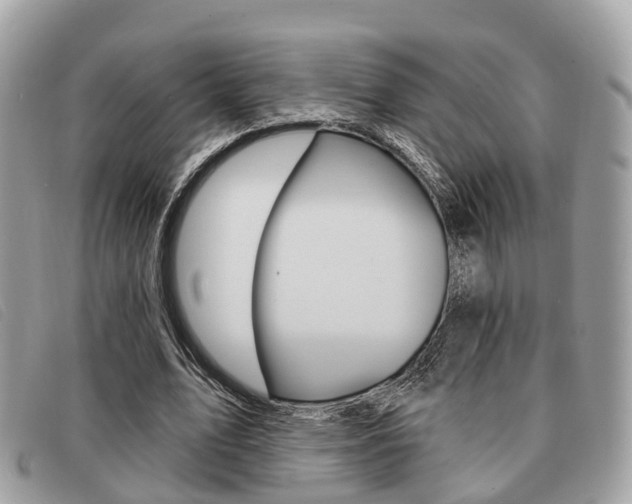 X0000091530583200708170951