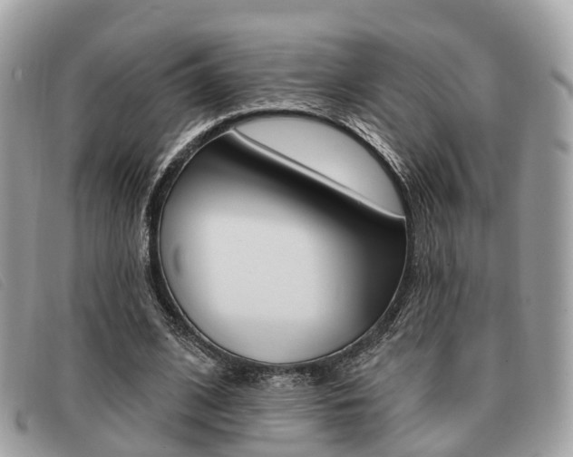 X0000091530584200708170951