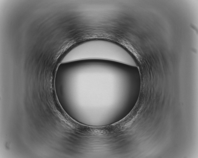 X0000091530585200708170951