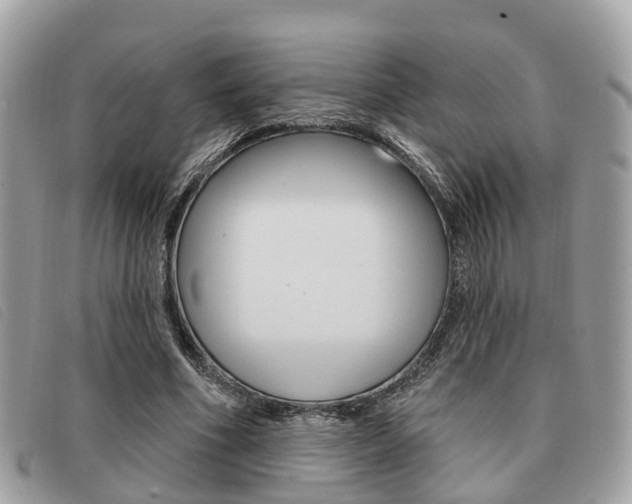 X0000091530586200708170951