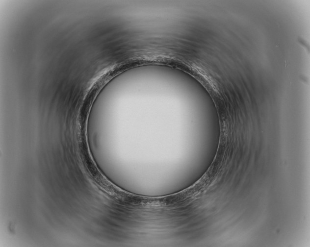 X0000091530587200708170951