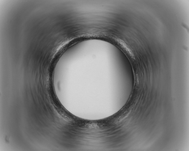 X0000091530588200708170951