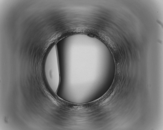 X0000091530589200708170951