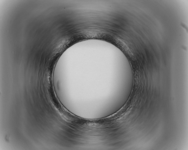 X0000091530590200708170951
