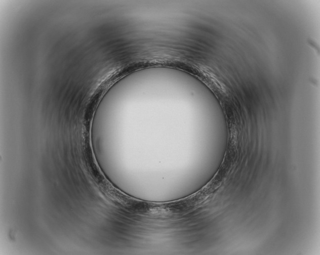 X0000091530591200708170951
