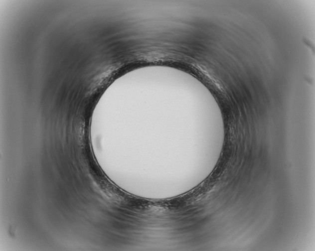 X0000091530592200708170951