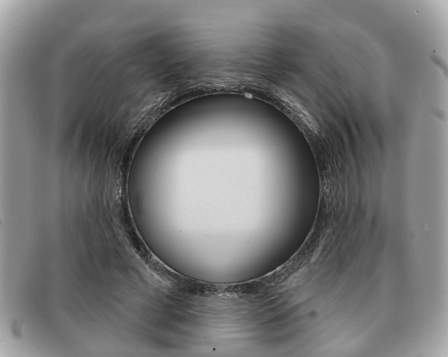 X0000091530593200708170951