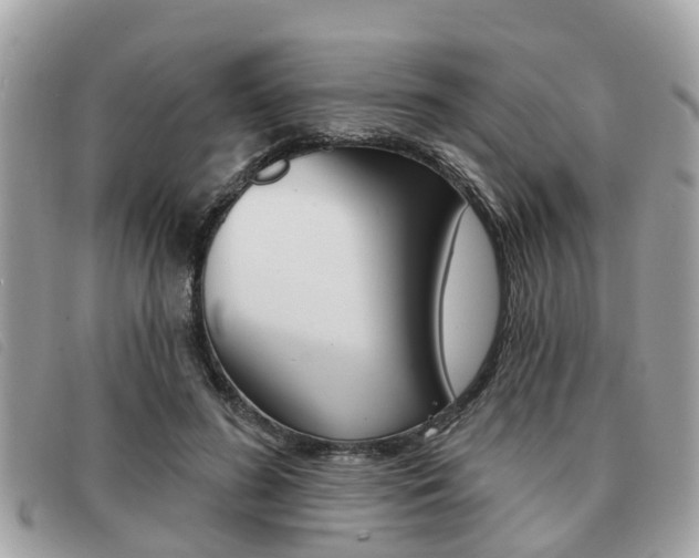 X0000091530596200708170951