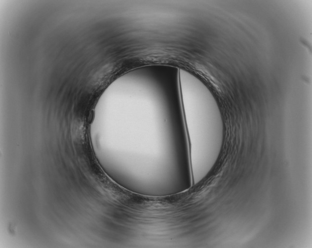 X0000091530597200708170951