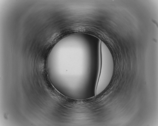 X0000091530600200708170951
