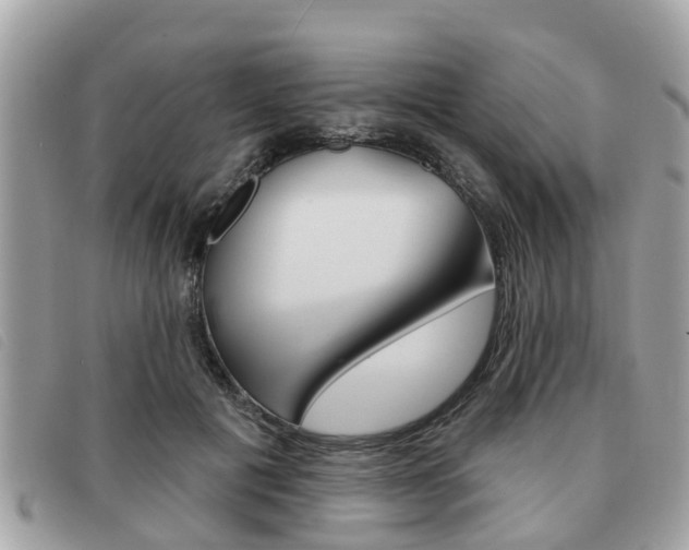 X0000091530601200708170951