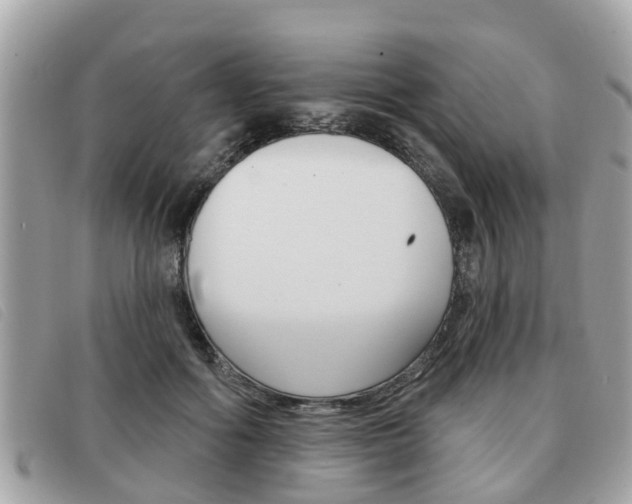 X0000091530602200708170951