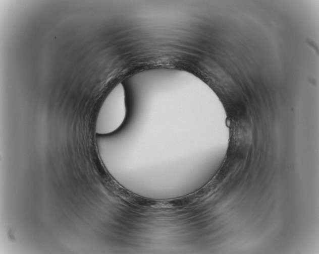 X0000091530603200708170951