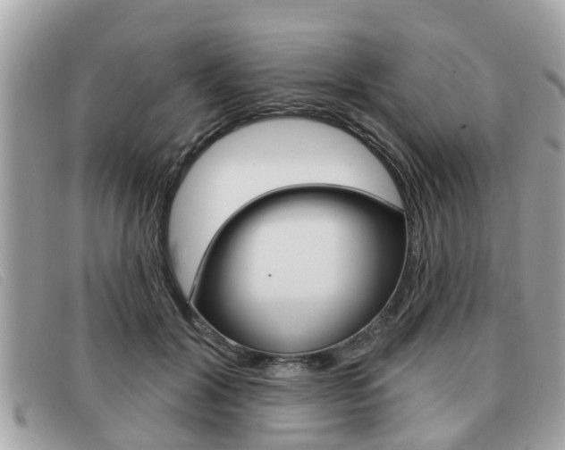 X0000091530604200708170951