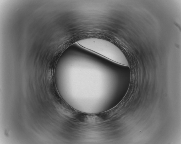 X0000091530605200708170951