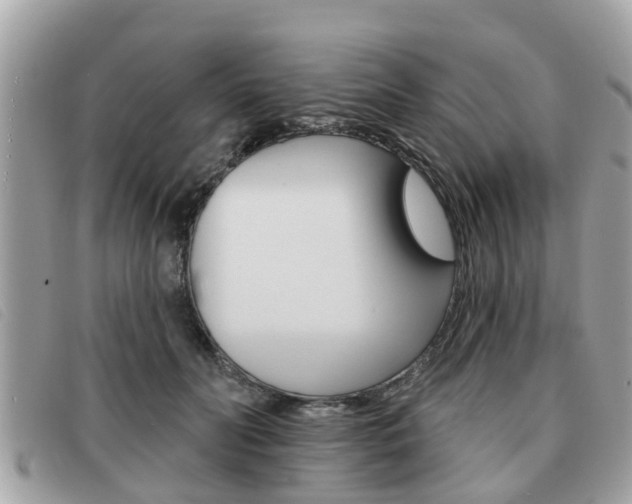 X0000091530606200708170951