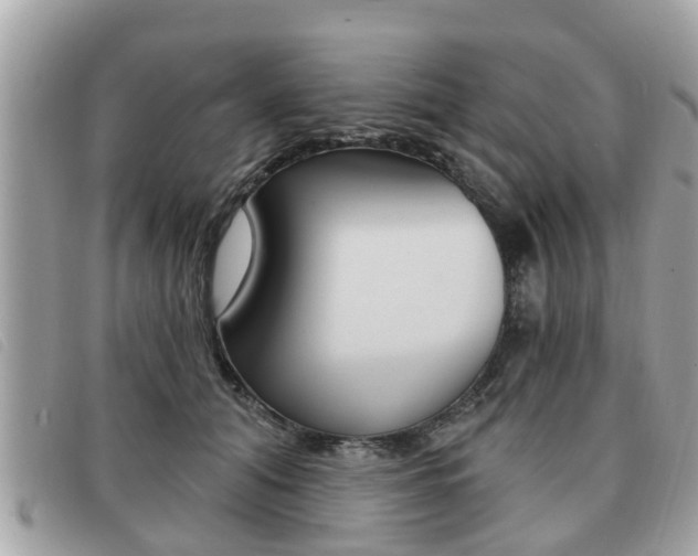 X0000091530608200708170951