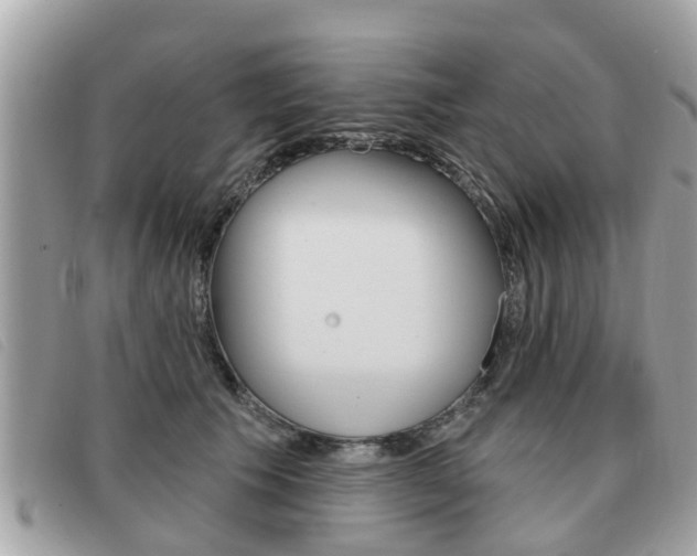 X0000091530609200708170951
