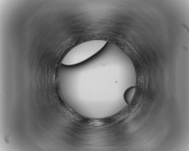 X0000091530610200708170951