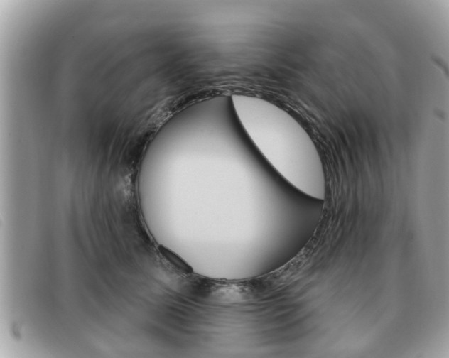 X0000091530611200708170951