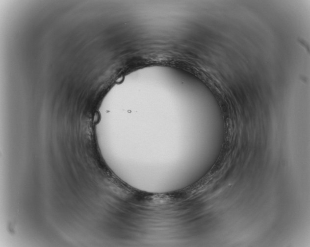 X0000091530612200708170951