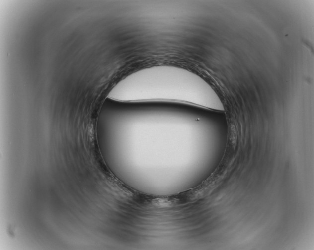 X0000091530613200708170951