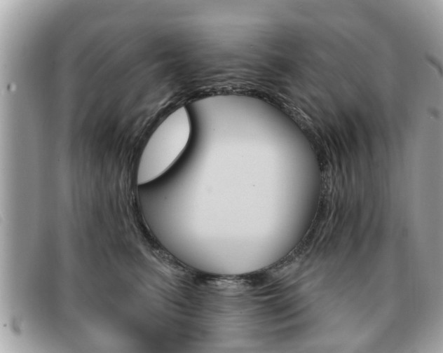 X0000091530615200708170951