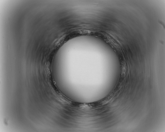 X0000091530616200708170951