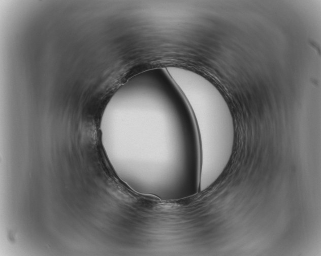 X0000091530617200708170951