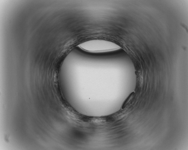 X0000091530619200708170951