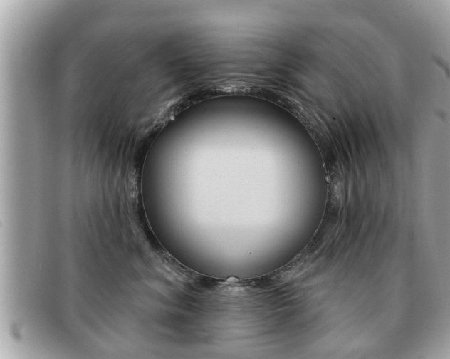 X0000091530620200708170951