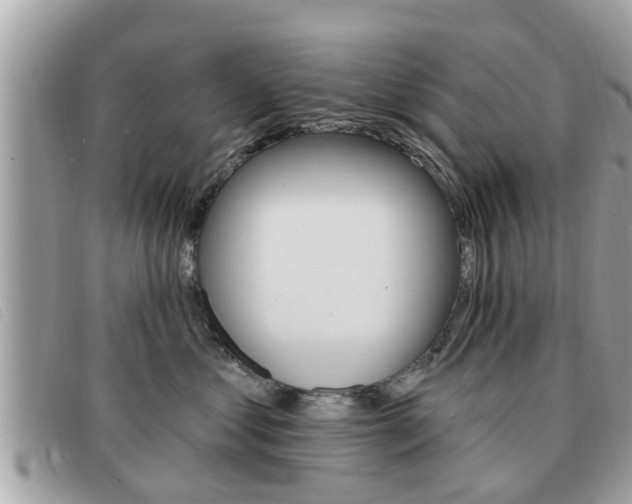 X0000091530621200708170951