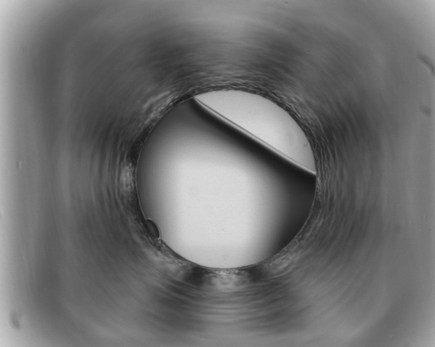 X0000091530623200708170951