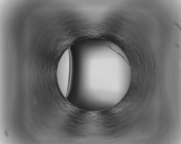 X0000091530624200708170951