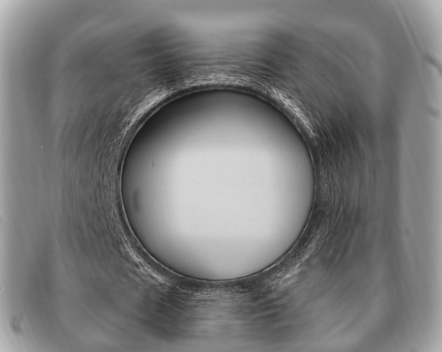 X0000091530625200708170950