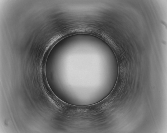 X0000091530626200708170950