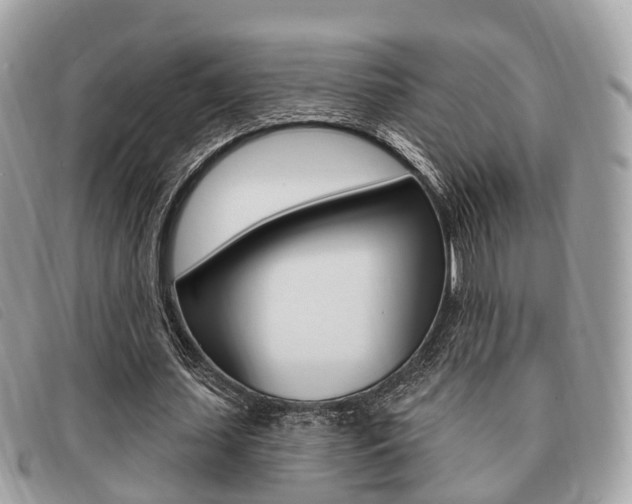 X0000091530627200708170950