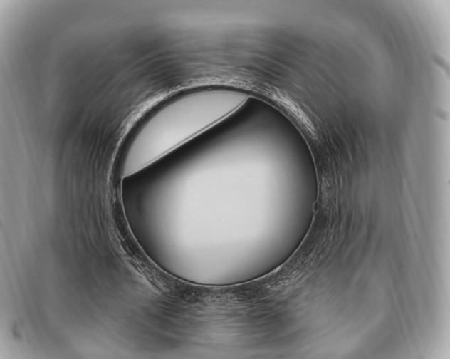 X0000091530628200708170950