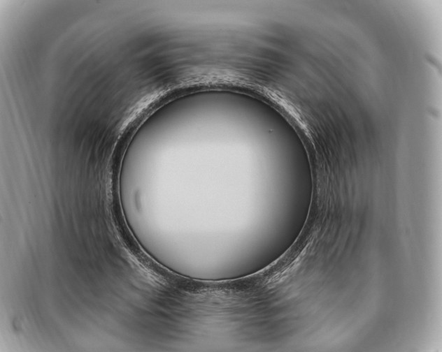 X0000091530629200708170950