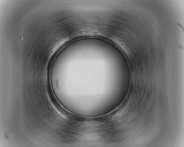 X0000091530630200708170950