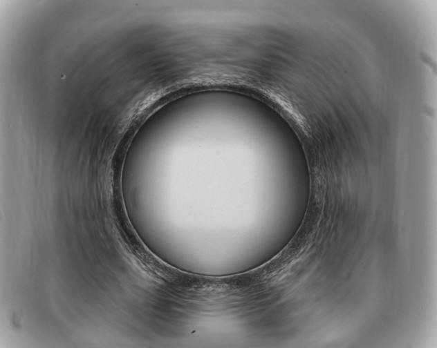 X0000091530631200708170950