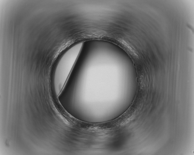 X0000091530634200708170950